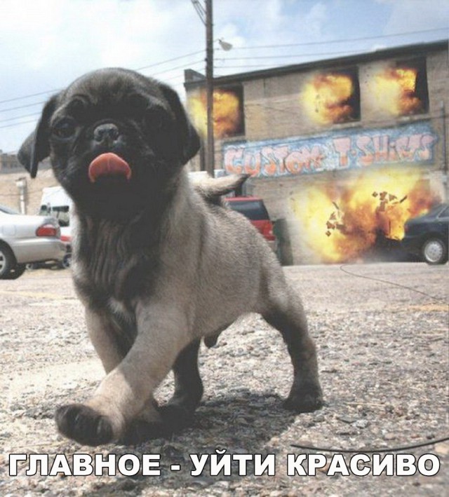 Нестандартный юмор