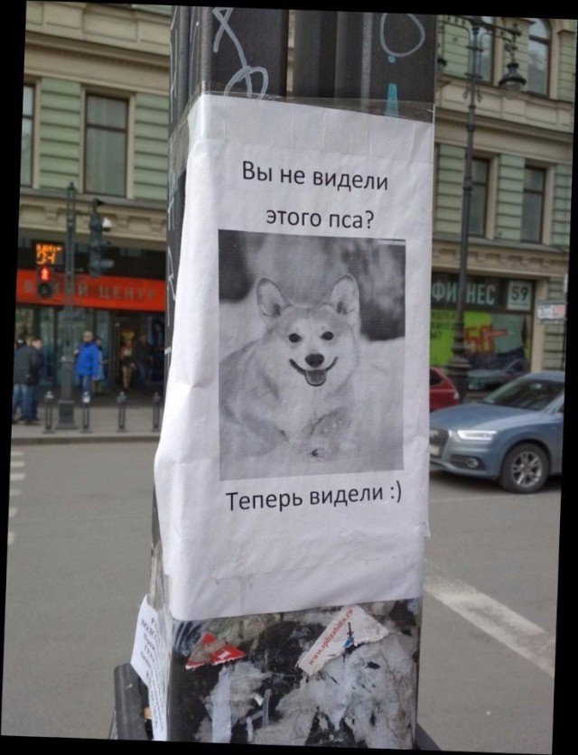 Не очень адекватный юмор