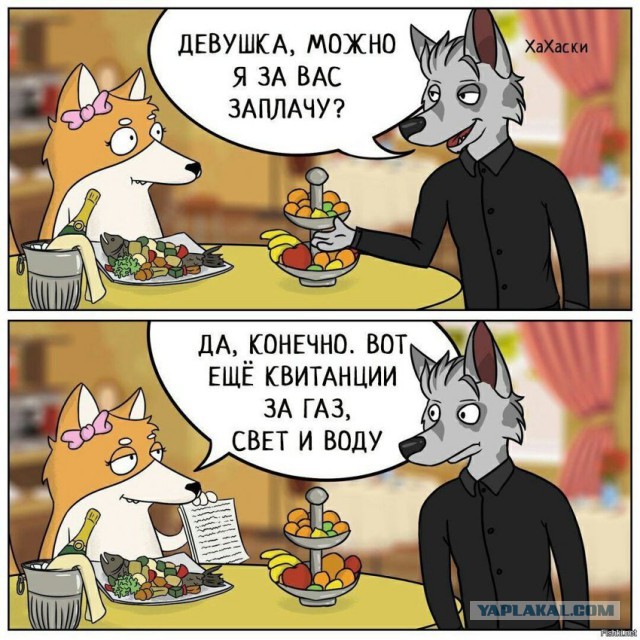 Мамба. Как я повёлся...