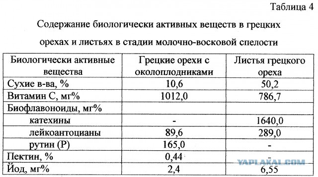 Переезд из Сибири и ДВ в Краснодар: все минусы и плюсы