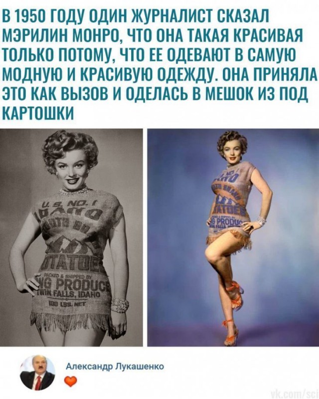 Анекдоты, соц-сети, истории и картинки с надписями