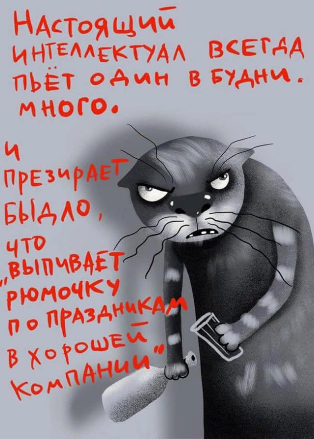 Подборка интересных и веселых картинок 27.06.19
