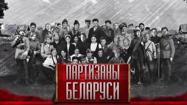 Около 13 комплексов фотовидефиксации сожгли в Раменском