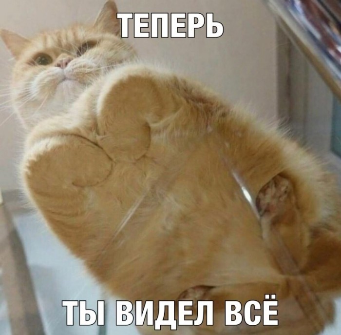 Немного картинок для настроения 12.12.19