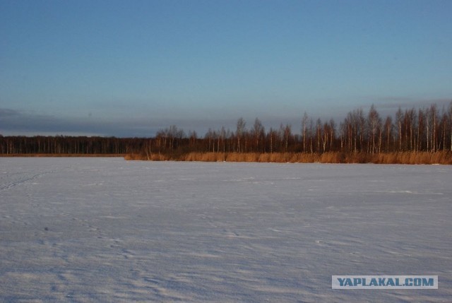 Одиночество в своей семье