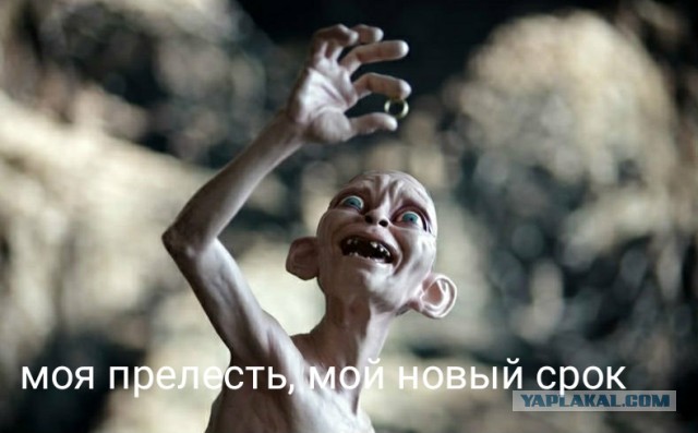 Обнуление сроков
