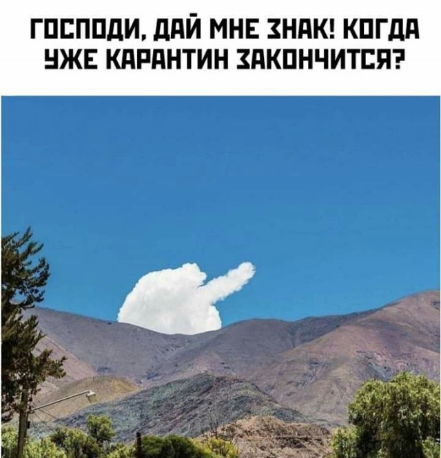 Так себе картинки #14
