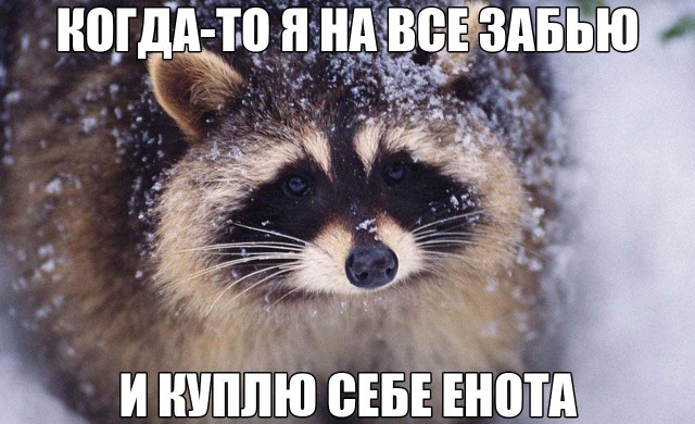 Так себе картинки 04.07.20