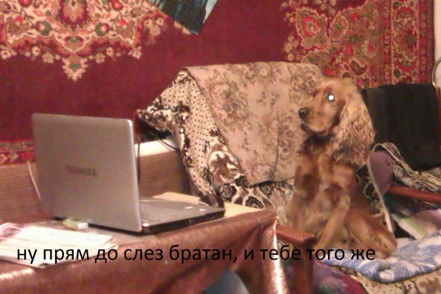 Срочно в номер
