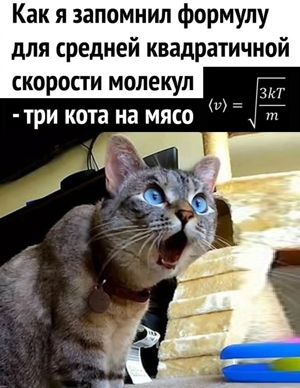 Картинки с надписями и всякие жизненные фразы 25.01.21