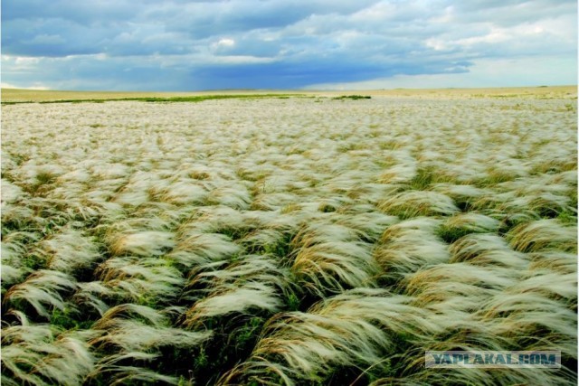 Самая четкая фотография солнца, опубликованная НАСА