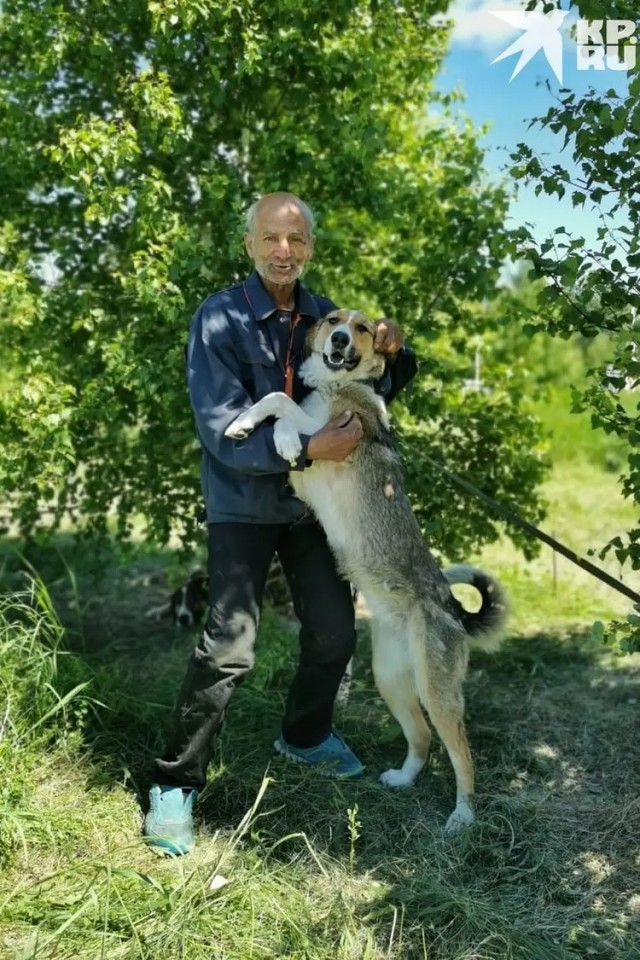 Пенсионер из Магадана застрял на трассе под Новосибирском с семью собаками и без денег: его жизнь изменил пост в соцсетях