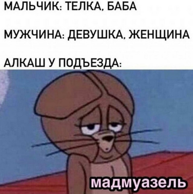 Картинки и мемы для настроения 26.07.2021