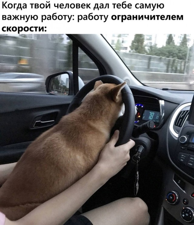 Картинки и мемы для настроения 18.08.2021