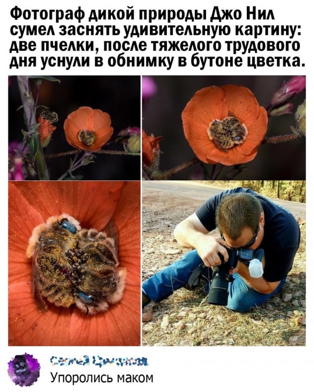Чуток картинок 15.09.21
