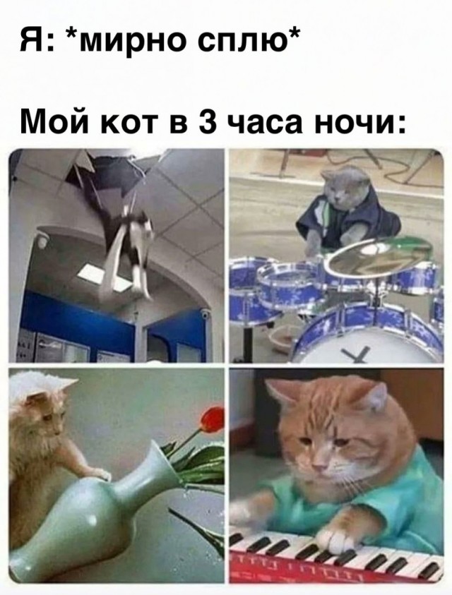 Так себе картинки 10.10.21
