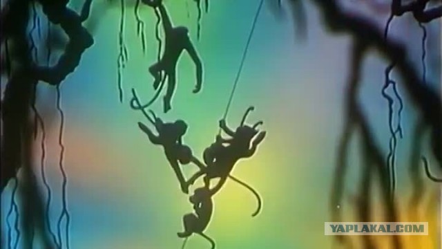 Либерия – страна свободного мусора