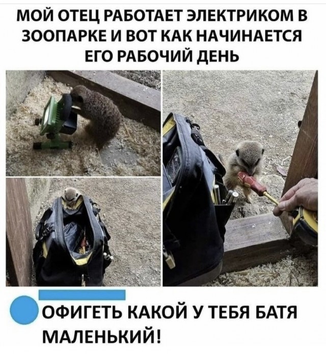 Всяческие картинки 29.12.2021
