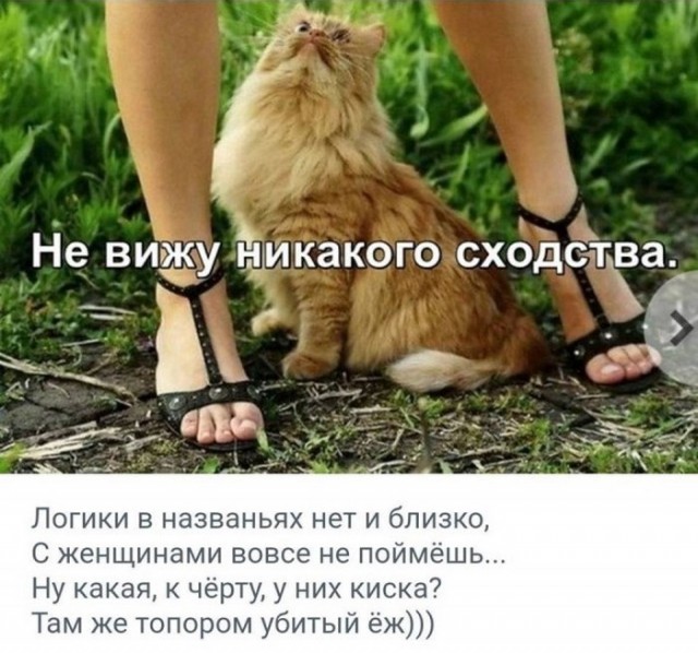 Так себе картинки 08.04.22