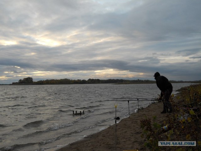 Рыбалка. Болхуны.