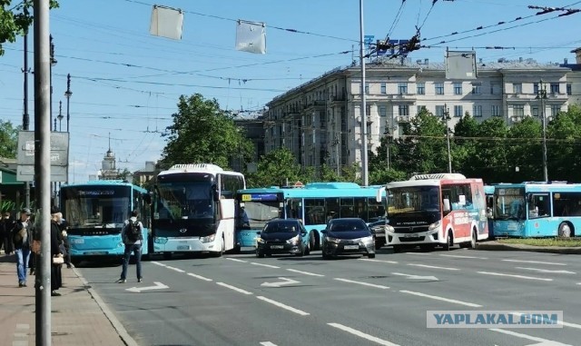 Жительница Питера очень недовольна заменой маршруток автобусами