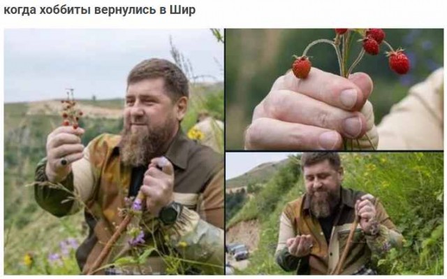 Средненедельная деградация