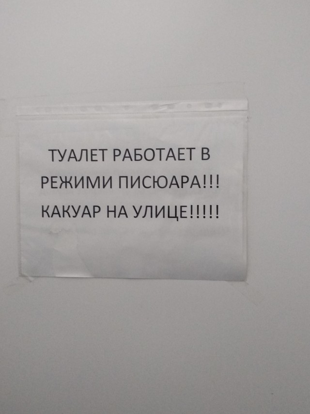 Кто куда ходит срать
