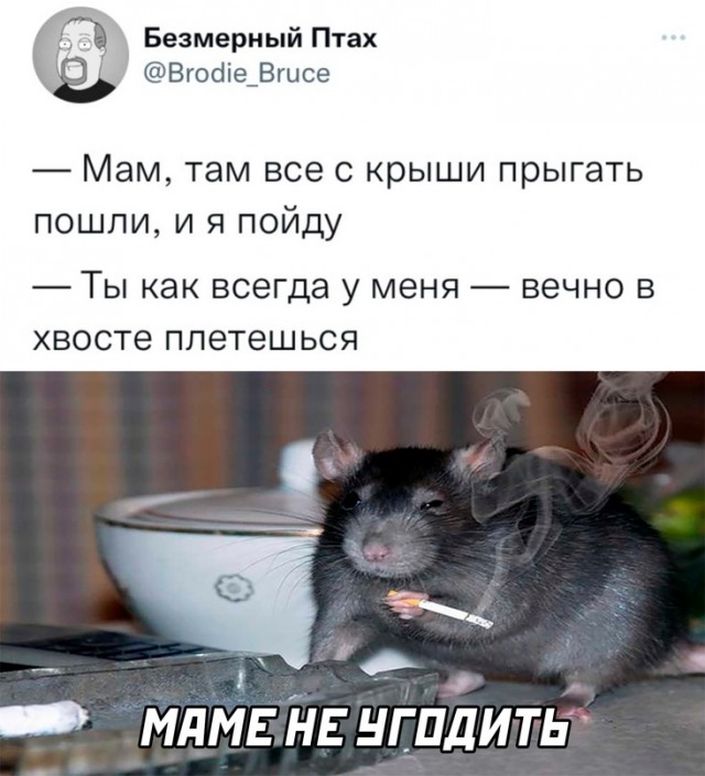 Немного картинок."Колбасный ветер". Август