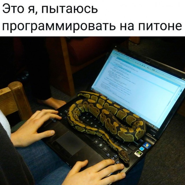 Картинки и мемы, всем хороших выходных