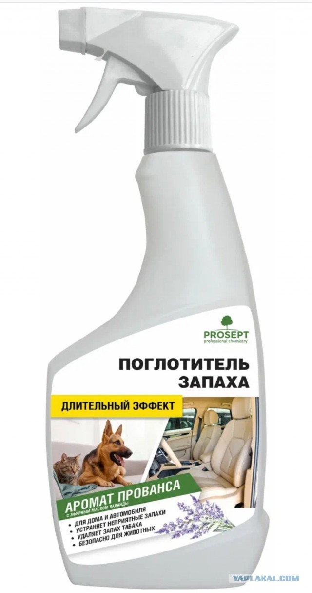 Наука в туалете