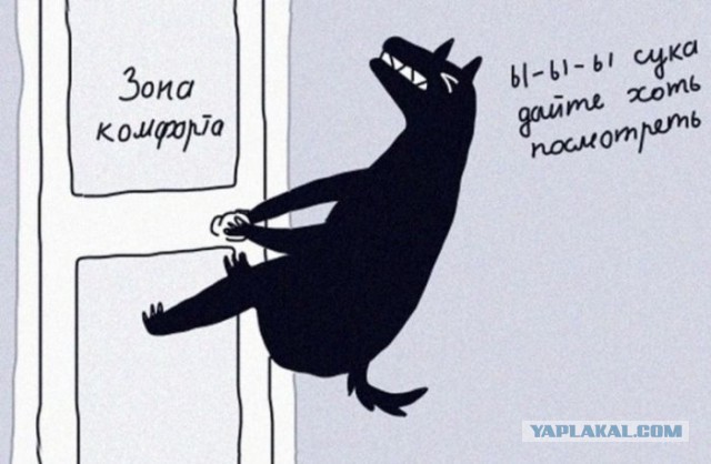 Народная меДИЧина 11.08