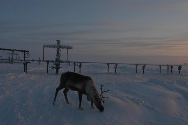 Ямал. Два времени года