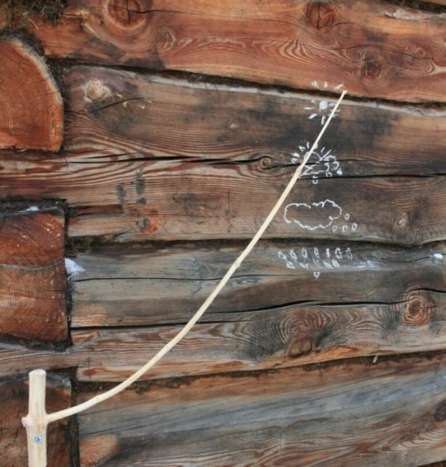 Еловый барометр