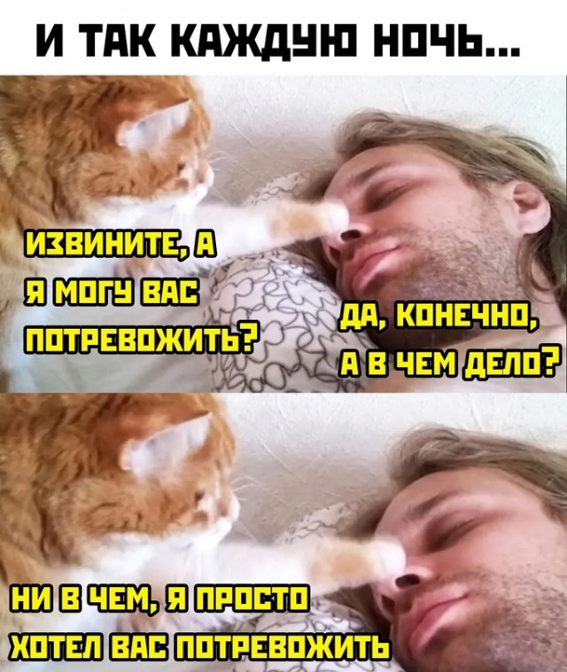 Картинки и мемы для настроения - 133