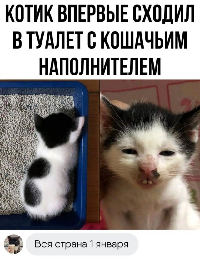 Немного картинок для настроения