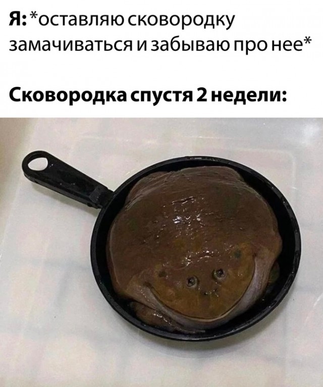 Картинки и мемы, всем хороших выходных