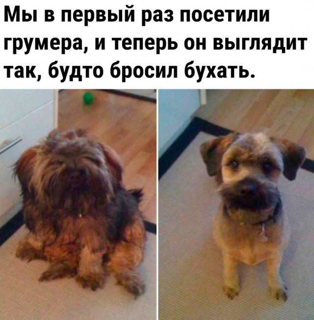 Так себе картинки 02.01.2023