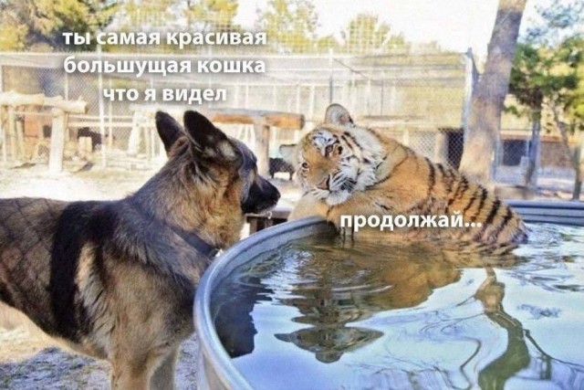 Картинки аморальные и всякие разные - 47