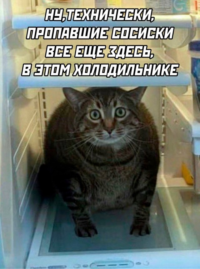 Прикольные и просто красивые картинки 03.02.2023