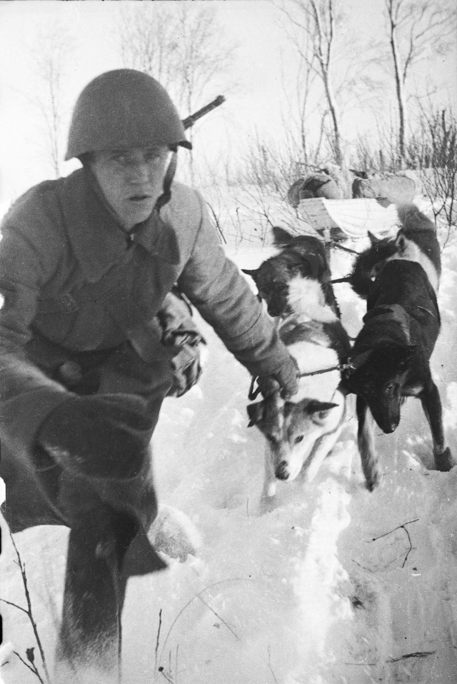 Фотографии из прошлого нашей страны - 12