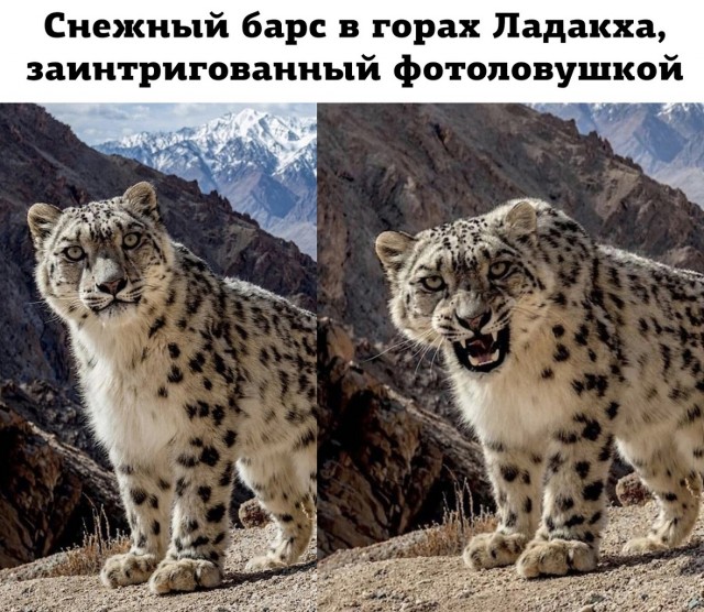 Так себе картинки 11.04.23