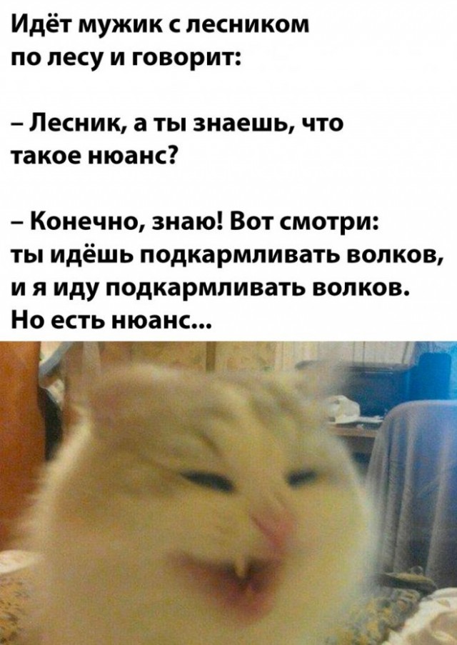 Картинки и мемы, всяко разно - 185