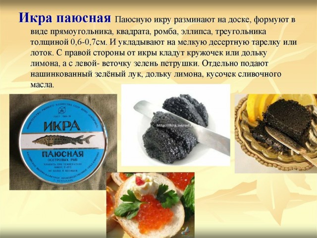 Белуга: Гигантов больше не существует