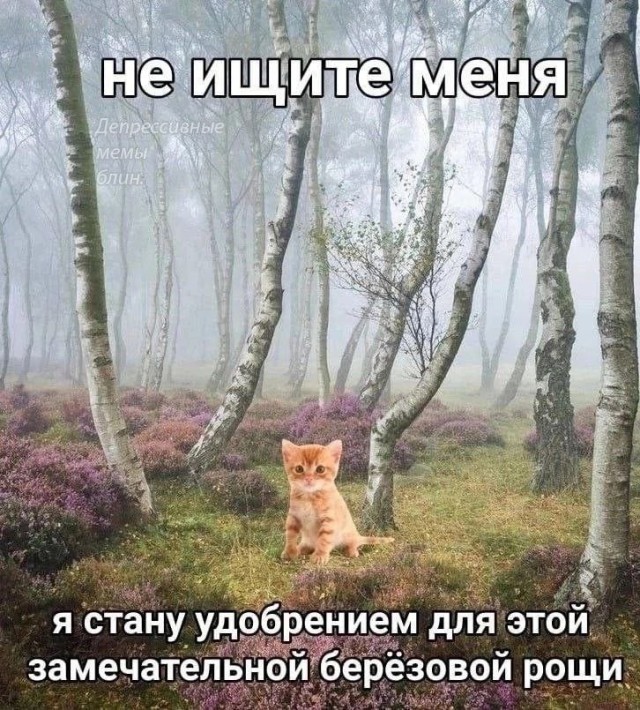 Всего понемногу. От 11.10.