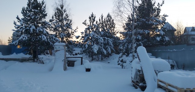 Зимняя красота