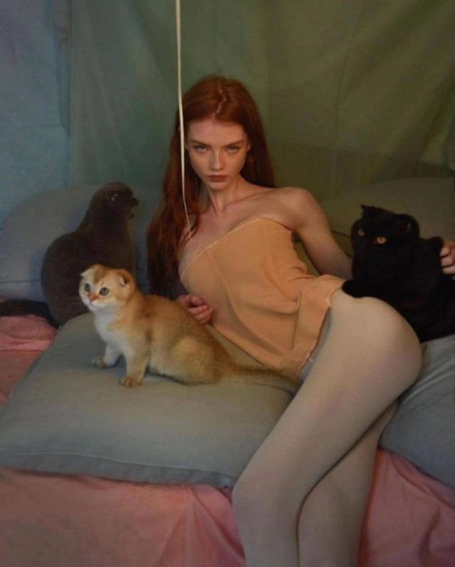 ФотоВинегрет