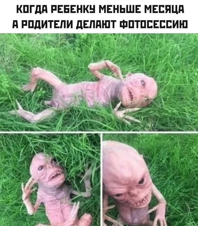 Немного картинок 13.06.24