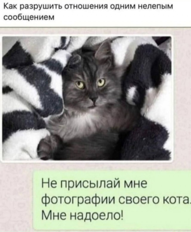 Картинки и буквы 20.06.2020