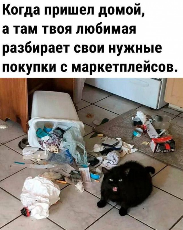 Весёлый полтишок 23.06.24