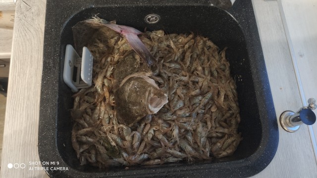 Прогулка по пляжу Азовского моря
